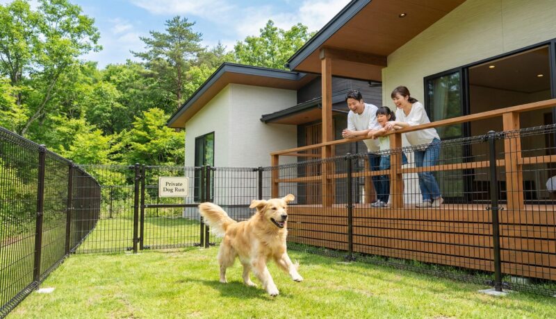 プライベートドッグラン付きの一棟貸しヴィラで、大型犬が楽しそうに走り回っている様子