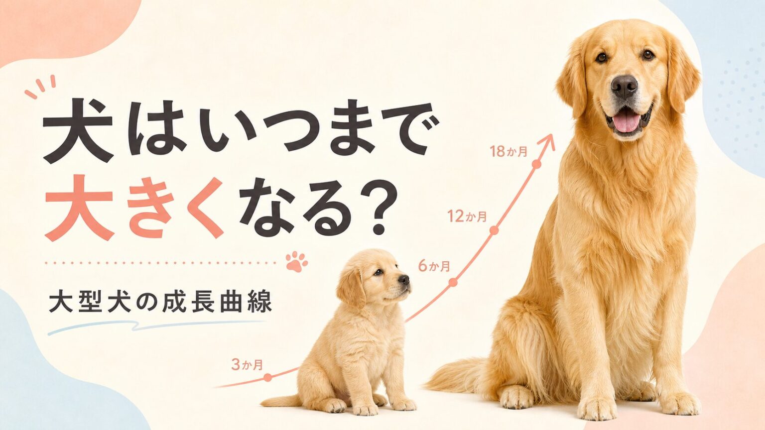 大型犬の成長曲線と月齢別の体重推移