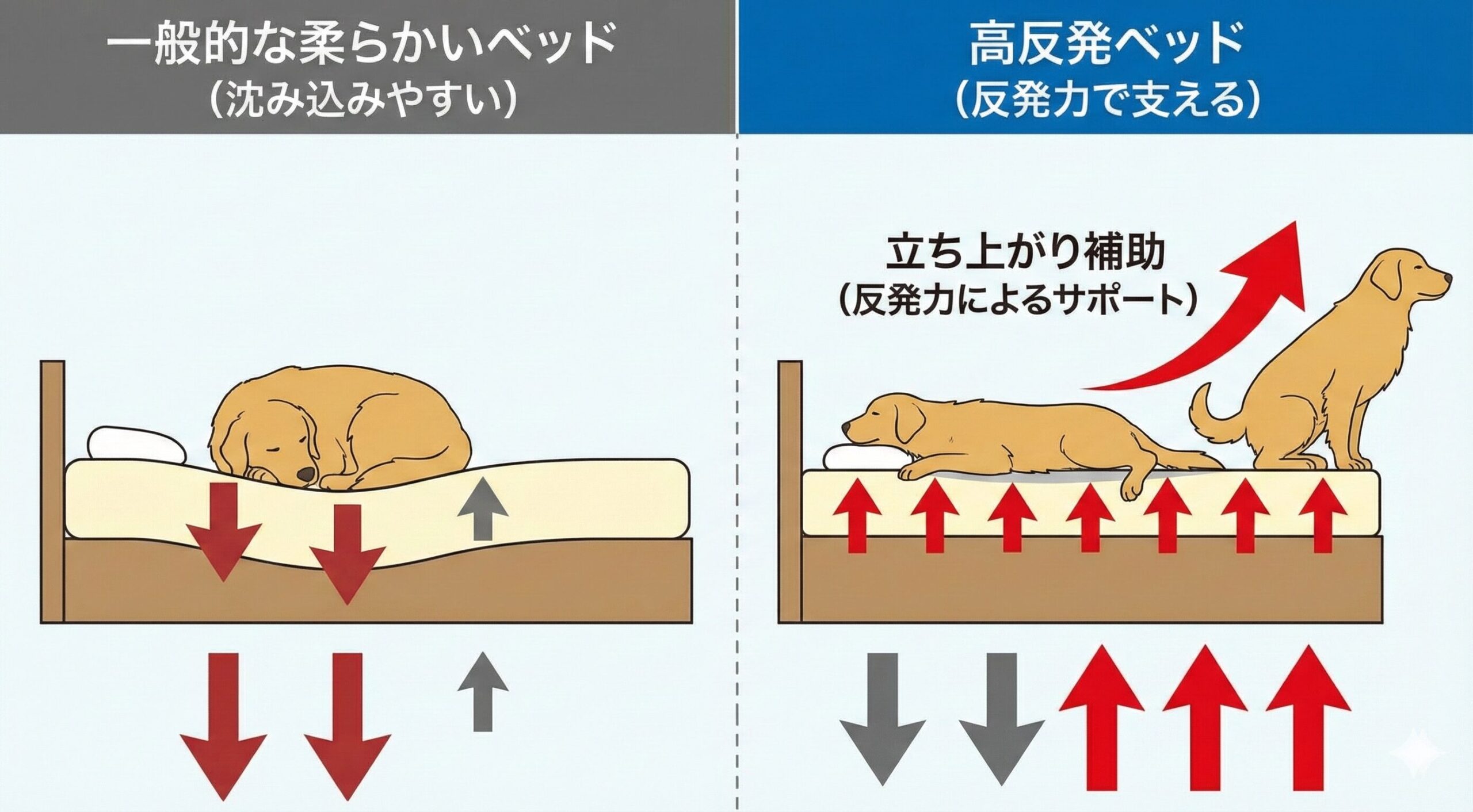 高反発ベッドが沈み込みを抑え、立ち上がりを補助する原理を示す図解