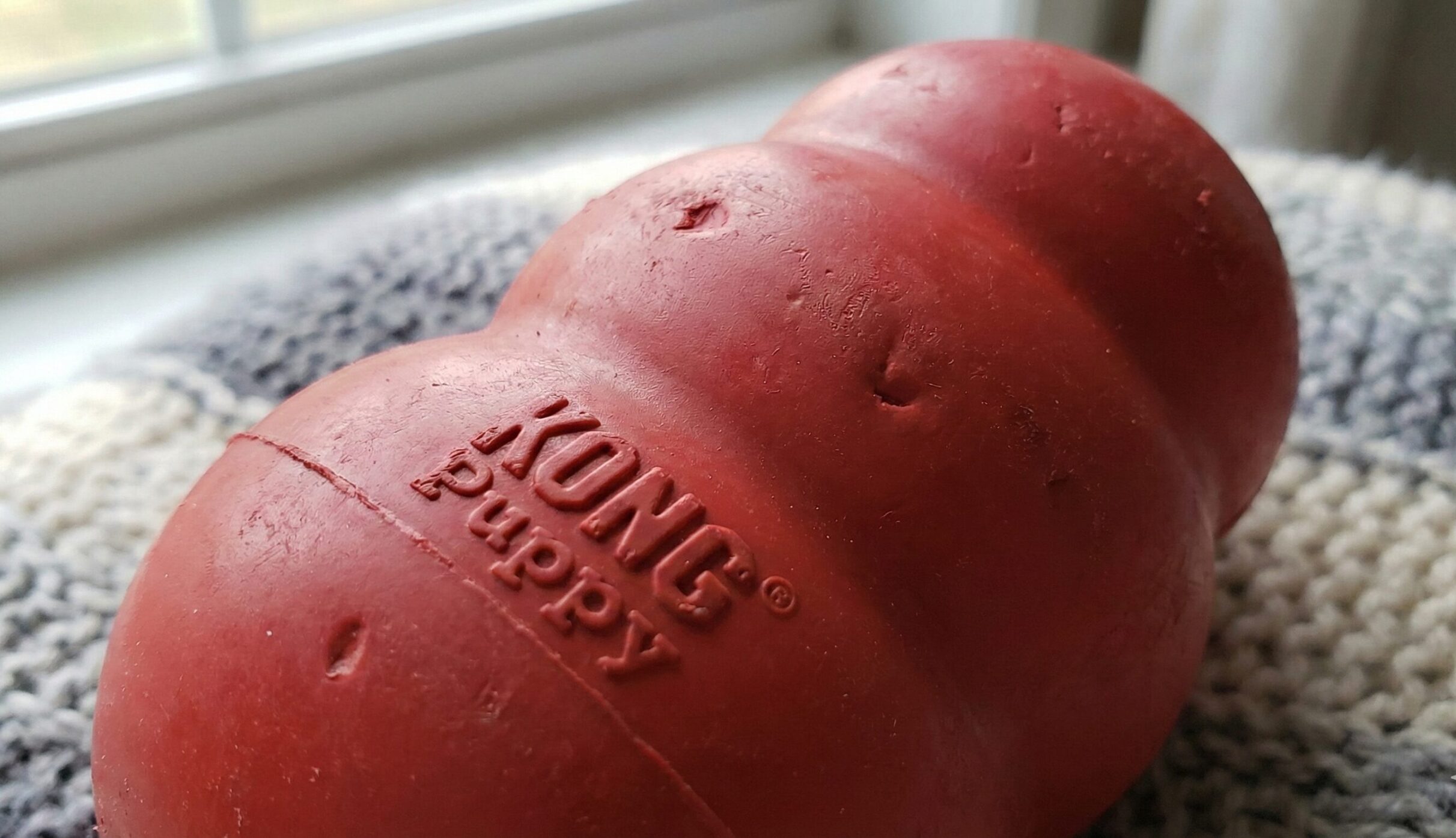 パピーコングの独特なダルマ型と柔らかい天然ゴム素材を強調したクローズアップ画像