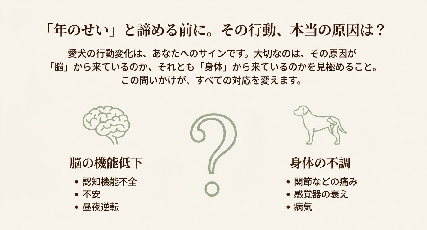 愛犬の行動変化の原因を「脳の機能低下（認知機能不全など）」と「身体の不調（関節の痛みなど）」に分けて解説したフローチャート図。