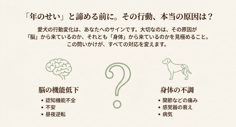 愛犬の行動変化の原因を「脳の機能低下（認知機能不全など）」と「身体の不調（関節の痛みなど）」に分けて解説したフローチャート図。