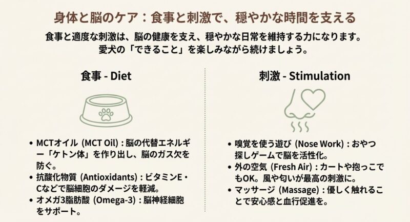 脳のエネルギーとなるMCTオイルや抗酸化物質などの食事管理と、嗅覚を使った遊びやマッサージによる脳への刺激の重要性を解説したスライド。