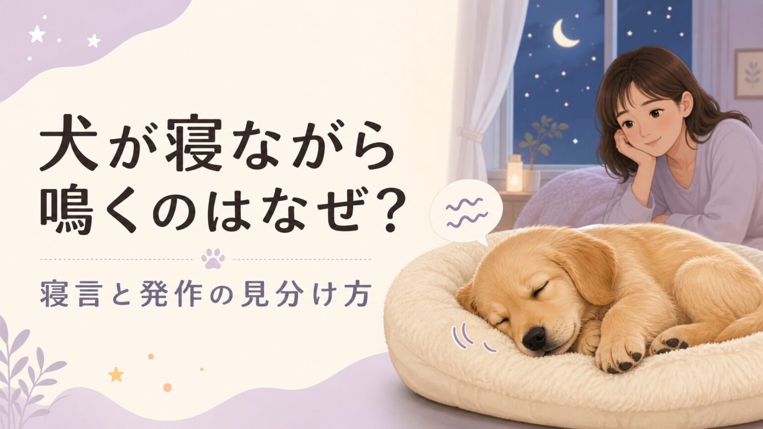 犬が寝ながら鳴くときの寝言と発作の見分け方