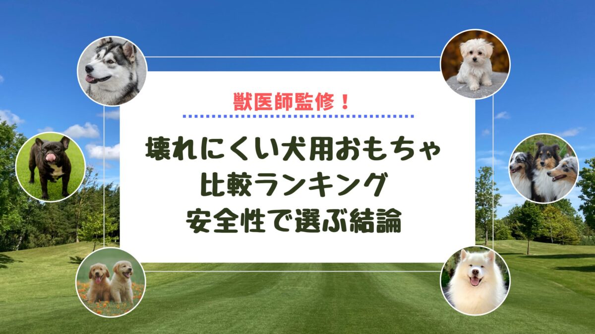 壊れない犬のおもちゃ