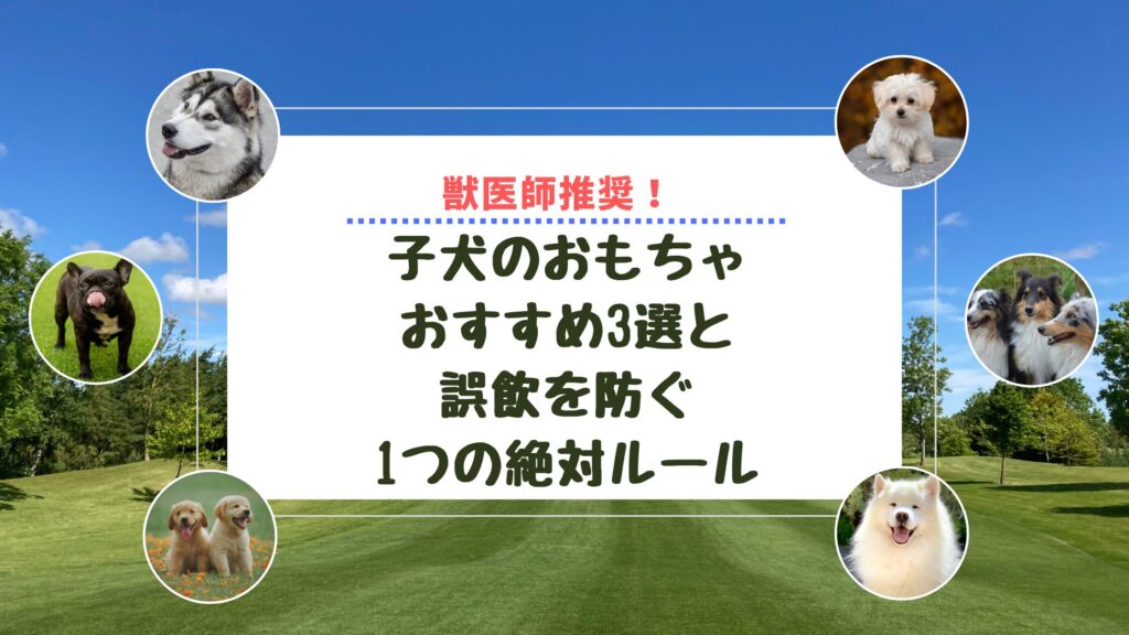 【獣医師推奨】子犬のおもちゃおすすめ3選と誤飲を防ぐ1つの絶対ルール