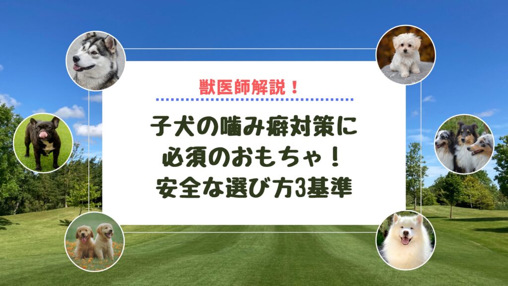 子犬の噛み癖対策に必須のおもちゃ！安全な選び方3基準【獣医師解説】