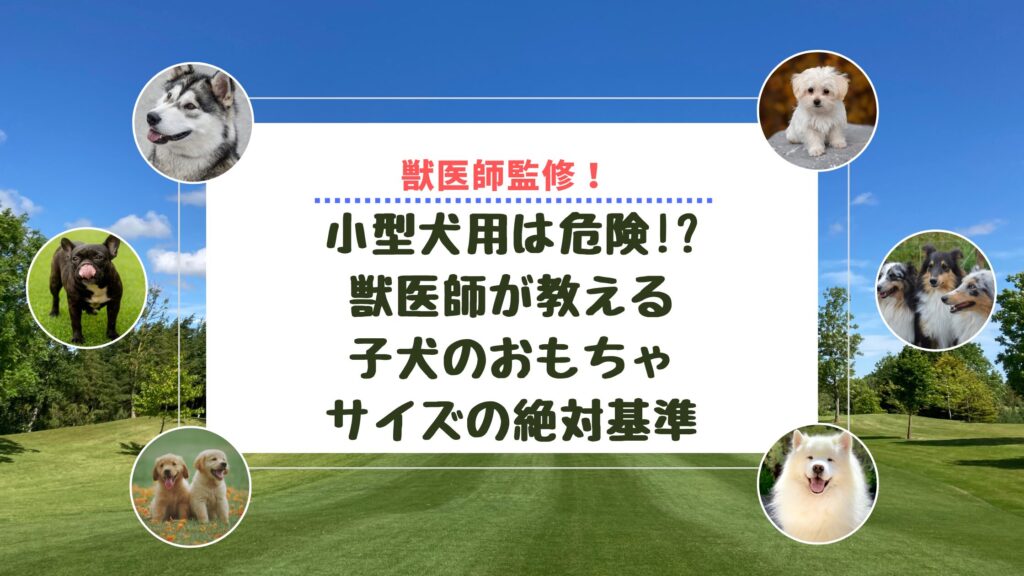 小型犬用は危険!?獣医師が教える子犬のおもちゃサイズの絶対基準