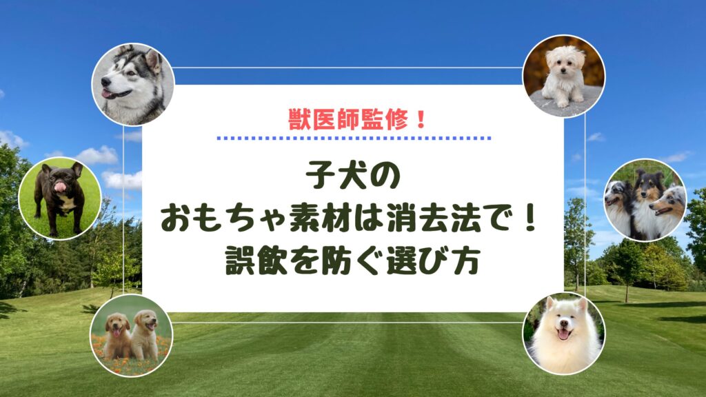 【獣医師監修】子犬のおもちゃ素材は消去法で！誤飲を防ぐ選び方