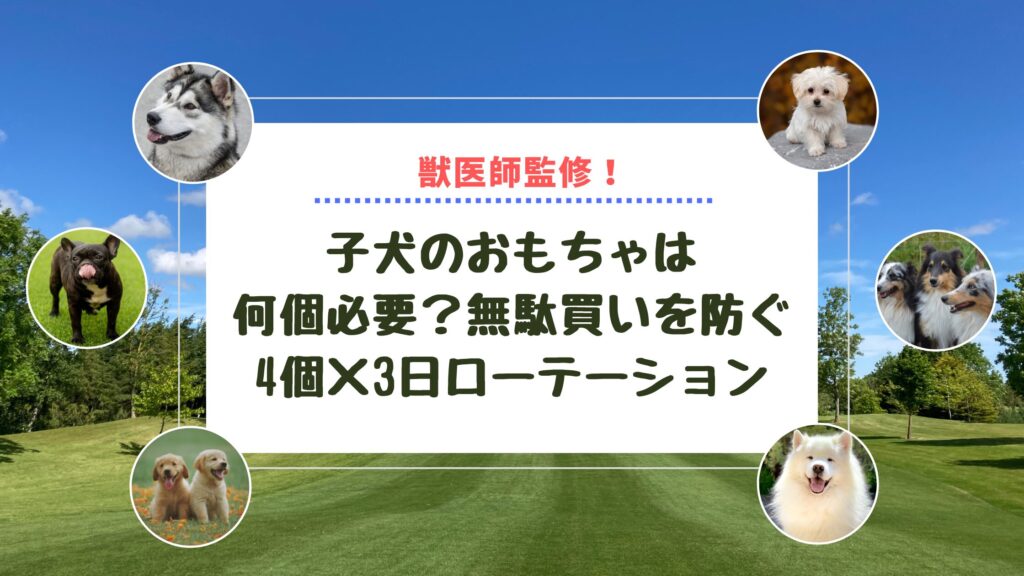 【獣医師監修】子犬のおもちゃは何個必要？無駄買いを防ぐ4個×3日ローテーション